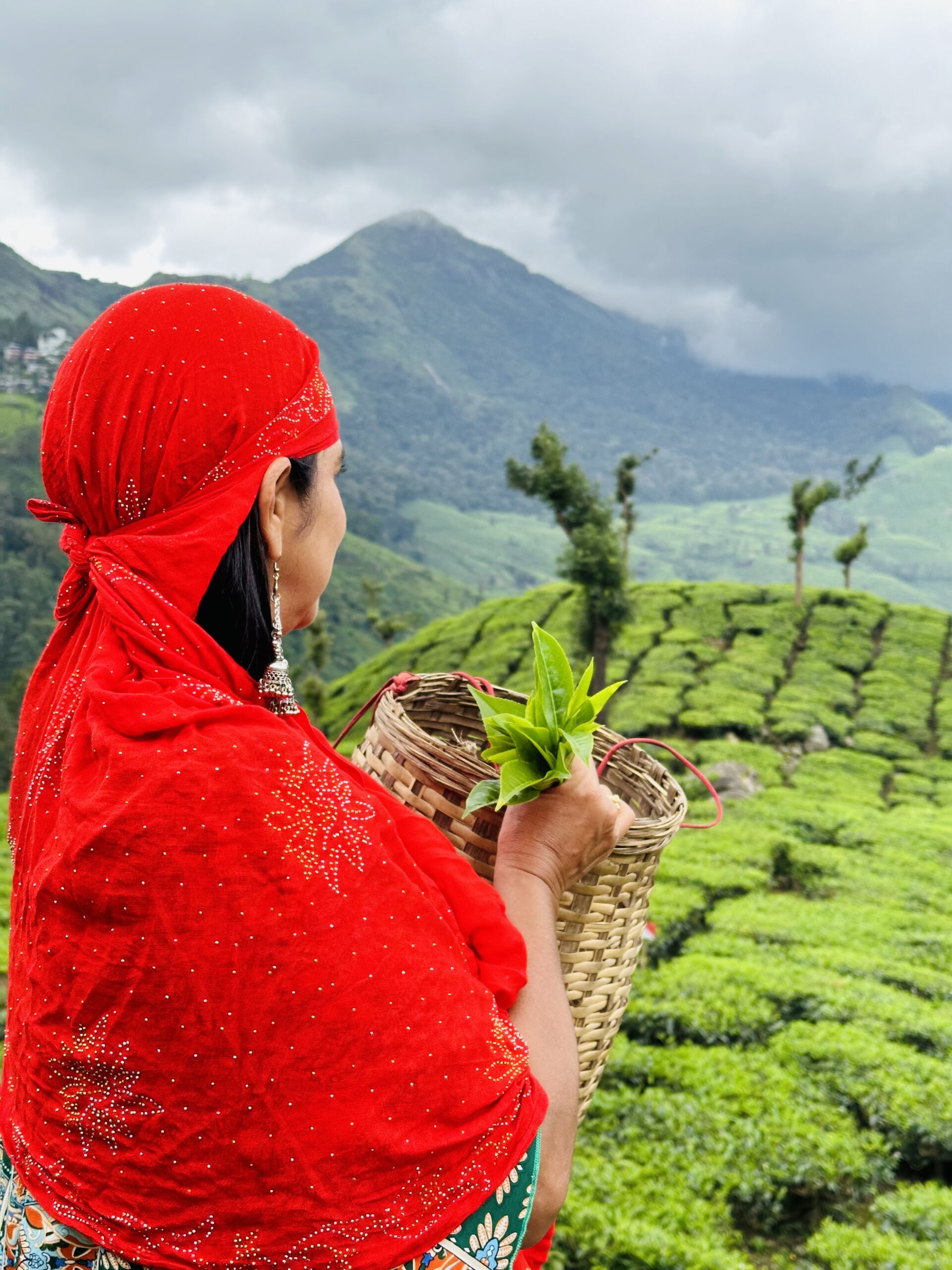 מסע אל הלב של דרום הודו